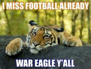 war-eagle-2-300x228.jpg